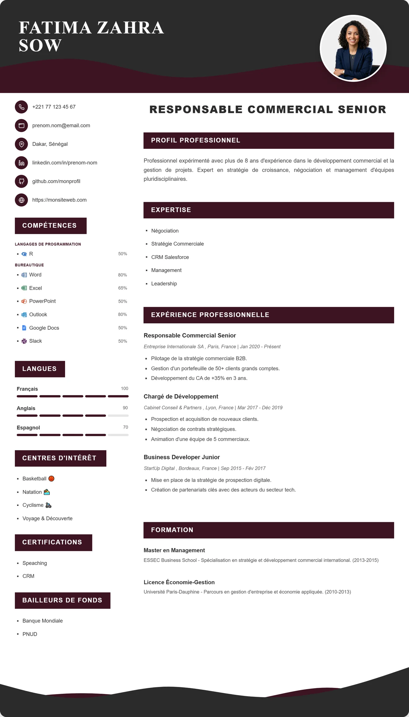 Modèle de CV 13