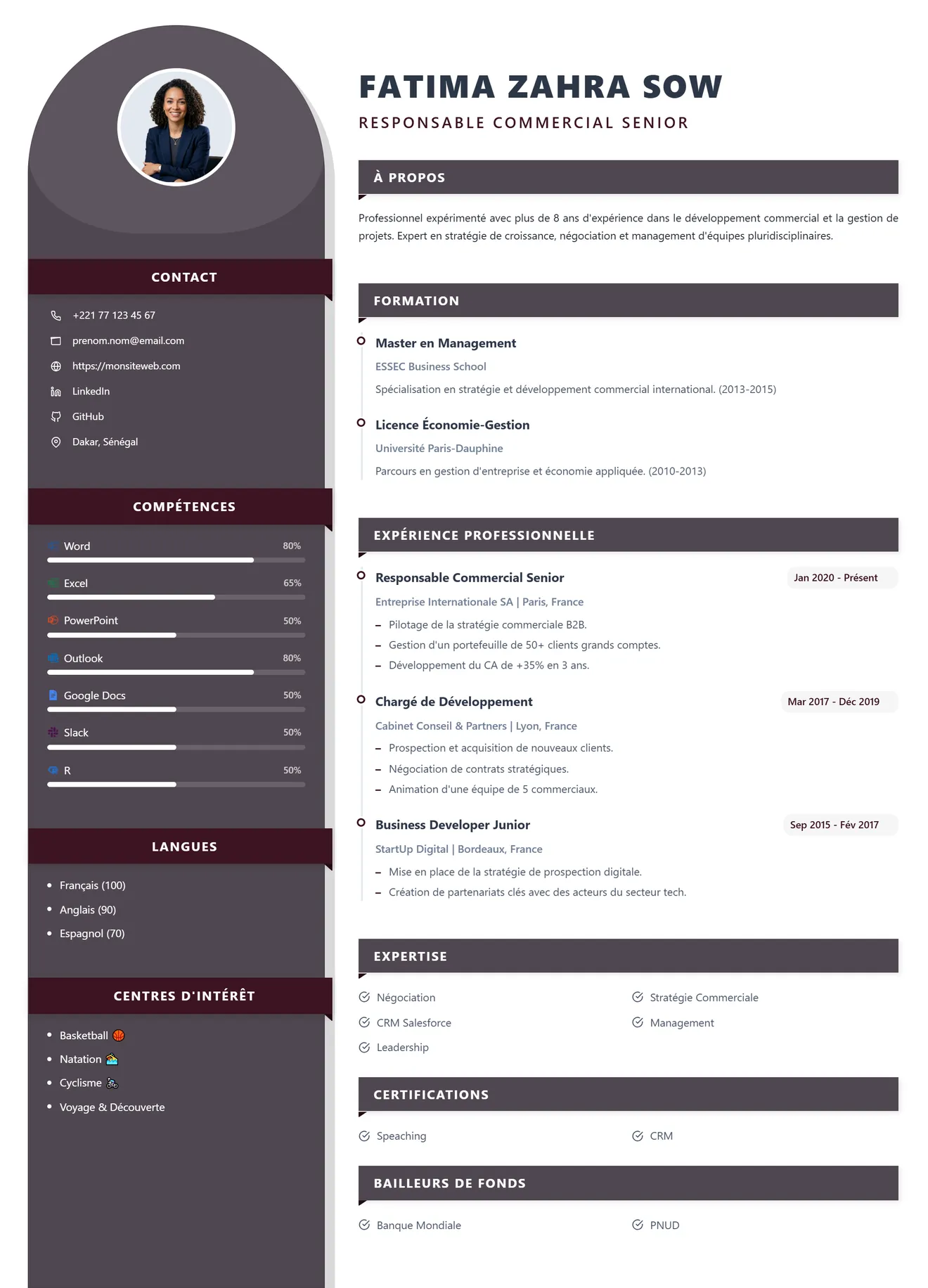 Modèle de CV 15